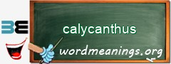 WordMeaning blackboard for calycanthus